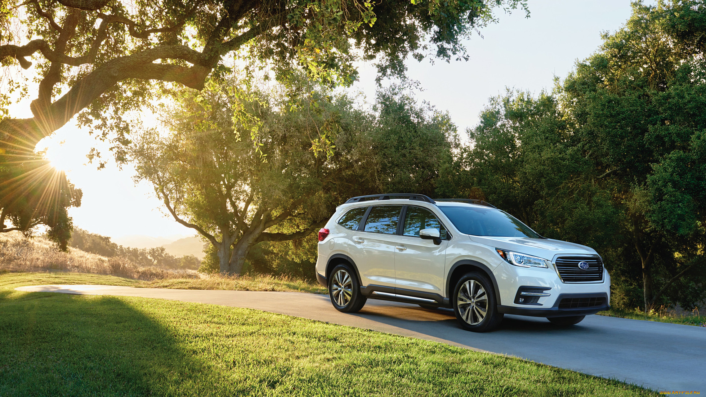 subaru ascent 2019, , subaru, ascent, 2019, , 